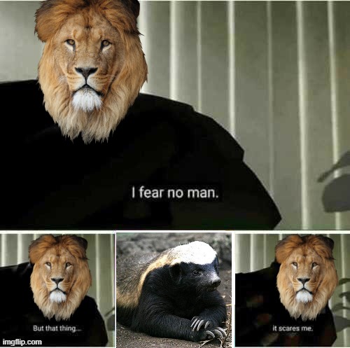 I fear no man | image tagged in i fear no man | made w/ Imgflip meme maker