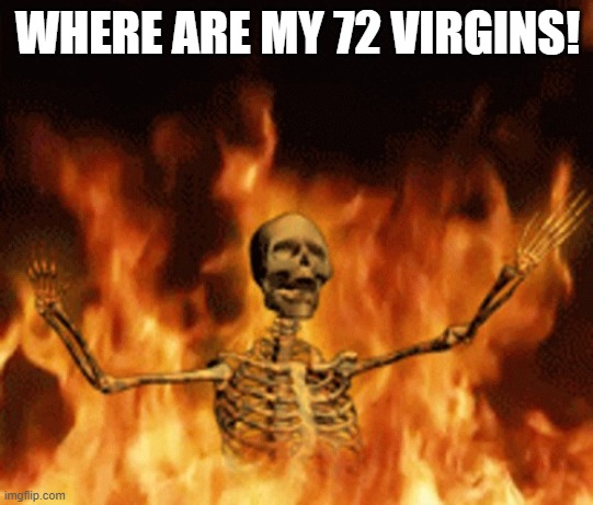 when murder doesn't guarantee heaven | WHERE ARE MY 72 VIRGINS! | image tagged in skeleton burning in hell,oops meme | made w/ Imgflip meme maker