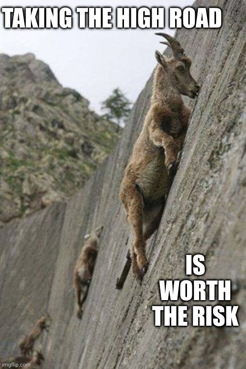 If you can't see the path, open your mind | TAKING THE HIGH ROAD; IS WORTH THE RISK | image tagged in mountain goats,memes,high road,taking risks,inspirational memes,crazy goat | made w/ Imgflip meme maker