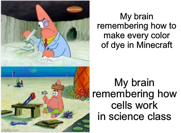 My brain be like this fr | My brain remembering how to make every color of dye in Minecraft; My brain remembering how cells work in science class | image tagged in patrick smart dumb | made w/ Imgflip meme maker