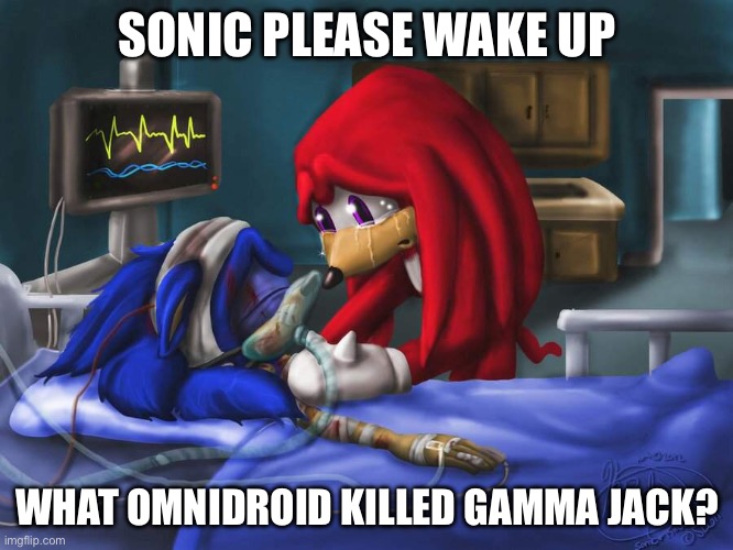 Who? | SONIC PLEASE WAKE UP; WHAT OMNIDROID KILLED GAMMA JACK? | image tagged in sonic please | made w/ Imgflip meme maker