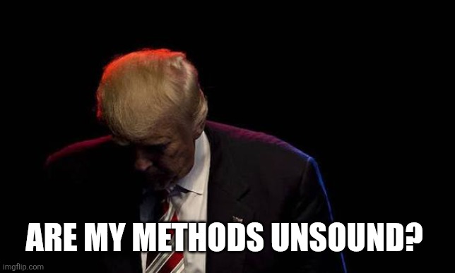 Trump head down | ARE MY METHODS UNSOUND? | image tagged in trump head down | made w/ Imgflip meme maker