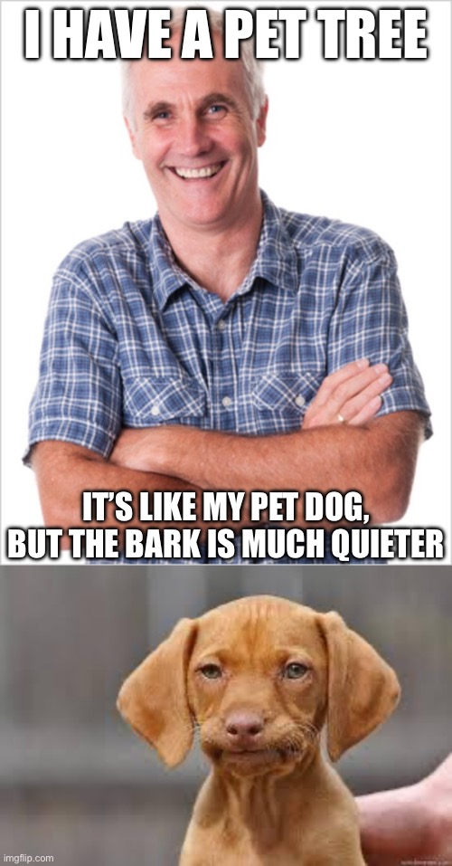Dad and dog joke | I HAVE A PET TREE; IT’S LIKE MY PET DOG, BUT THE BARK IS MUCH QUIETER | image tagged in dad jokes,disappointed dog,dog joke,tree,barking,bad pun dog | made w/ Imgflip meme maker
