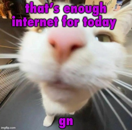 b | that’s enough internet for today; gn | image tagged in b | made w/ Imgflip meme maker