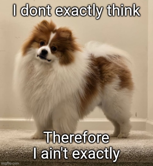 Dank's Dog (Ike) | I dont exactly think; Therefore I ain't exactly | image tagged in dank's dog ike | made w/ Imgflip meme maker