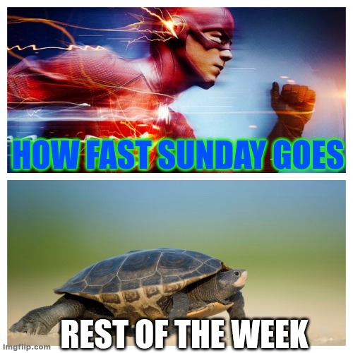 Fast vs. Slow | HOW FAST SUNDAY GOES; REST OF THE WEEK | image tagged in fast vs slow | made w/ Imgflip meme maker