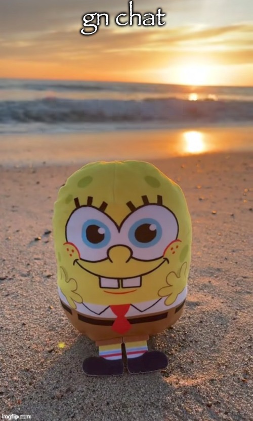 the bob (ty TMBR) | gn chat | image tagged in the bob ty tmbr | made w/ Imgflip meme maker