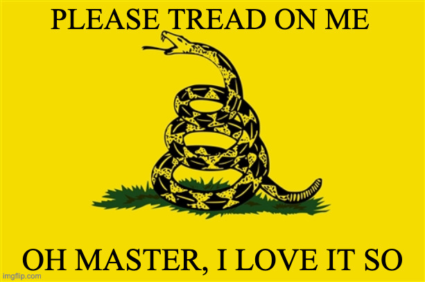 Tongue out and everything for the boot polish | PLEASE TREAD ON ME; OH MASTER, I LOVE IT SO | image tagged in dont tread on me | made w/ Imgflip meme maker