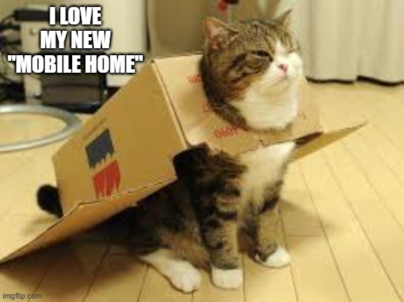 My cat loves her new mobile home.   --   funny   -- | I LOVE MY NEW "MOBILE HOME" | image tagged in cats,funny,kittens,humor,box,funny cat meme | made w/ Imgflip meme maker
