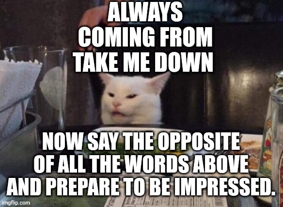 Smudge that darn cat | ALWAYS COMING FROM TAKE ME DOWN; NOW SAY THE OPPOSITE OF ALL THE WORDS ABOVE AND PREPARE TO BE IMPRESSED. | image tagged in smudge that darn cat | made w/ Imgflip meme maker