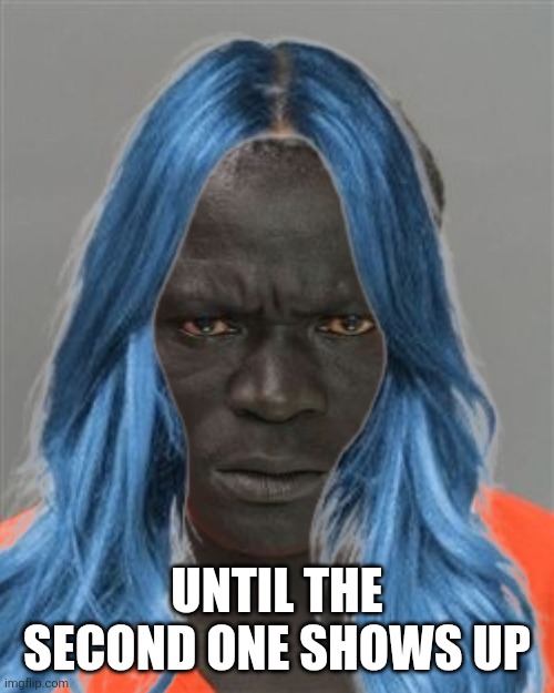 UNTIL THE SECOND ONE SHOWS UP | made w/ Imgflip meme maker