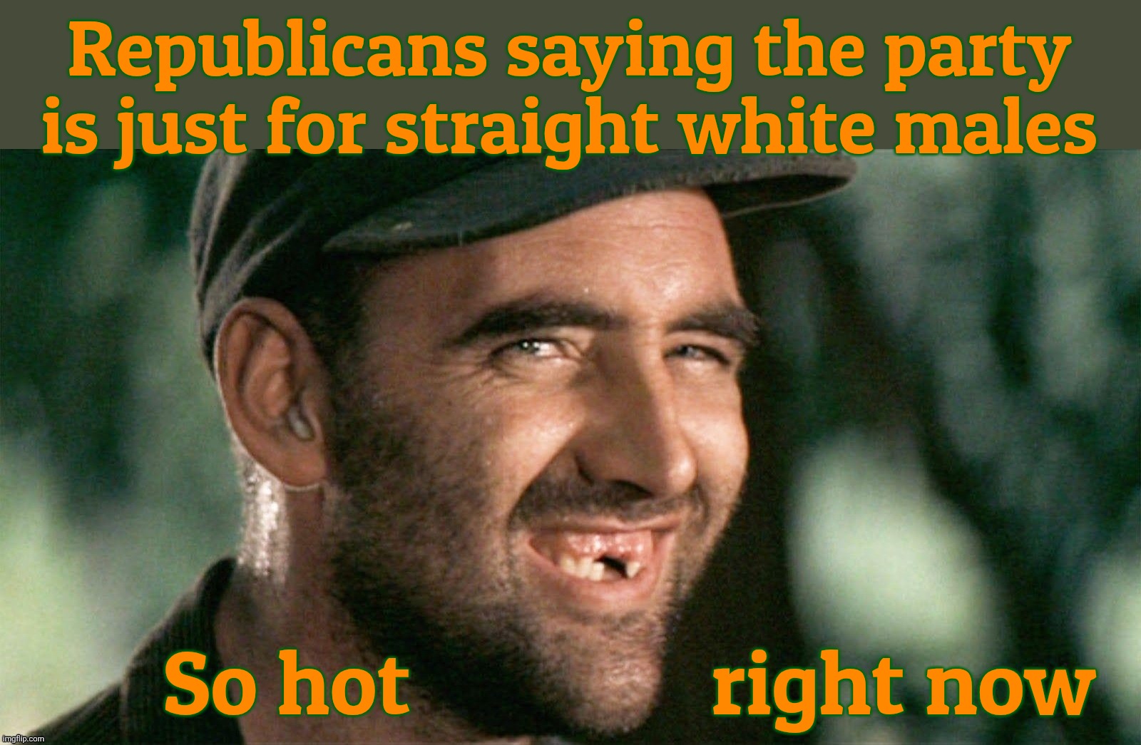 Republicans pretty much open now about the party being a hetero Anglo males first zone | Republicans saying the party is just for straight white males; So hot               right now | image tagged in deliverance,deliverance hillbilly,republicans hetero anglo club,they're not even pretending to hide it anymore,mayo gop | made w/ Imgflip meme maker