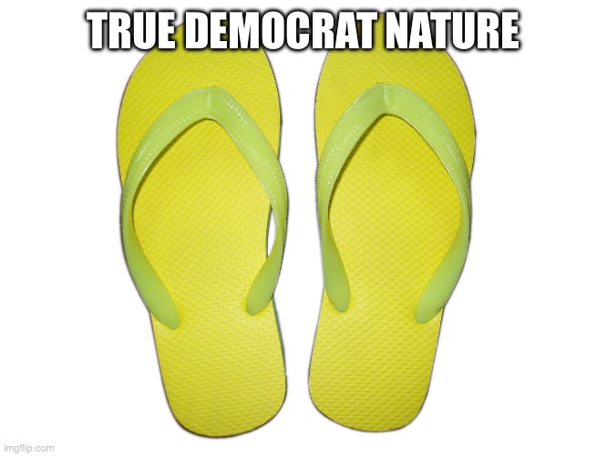 Flip Flops | TRUE DEMOCRAT NATURE | image tagged in flip flops | made w/ Imgflip meme maker