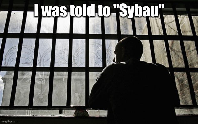Man In Jail | I was told to "Sybau" | image tagged in man in jail | made w/ Imgflip meme maker
