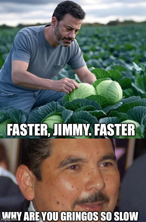 Maybe they should replace Jimmy with Guillermo | FASTER, JIMMY. FASTER; WHY ARE YOU GRINGOS SO SLOW | image tagged in jimmy kimmel,fired,pick crops,guillermo | made w/ Imgflip meme maker