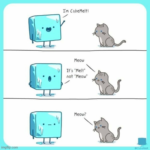 image tagged in ice cube,cat,meow | made w/ Imgflip meme maker