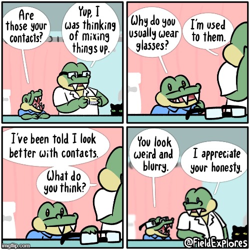 image tagged in alligators,contacts,glasses,weird,blurry,honest | made w/ Imgflip meme maker