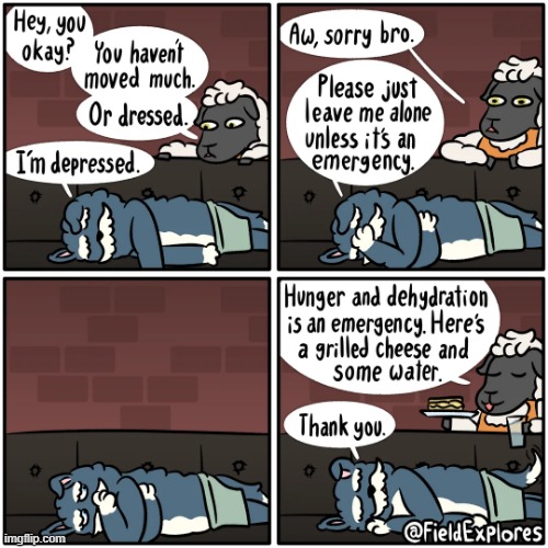 image tagged in dog,sheep,depressed,emergency,grilled cheese,water | made w/ Imgflip meme maker