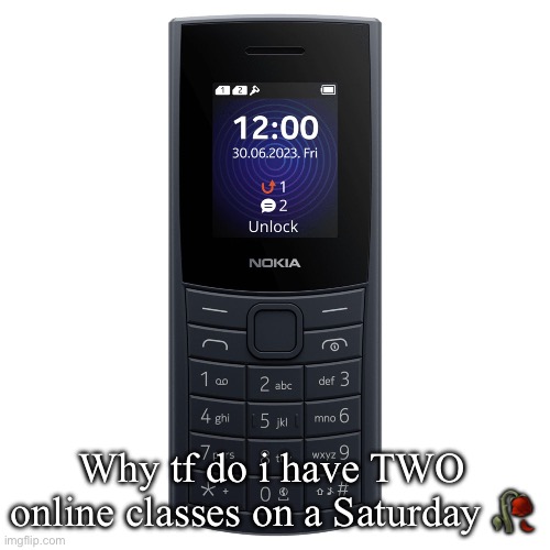 nokia 110 4g | Why tf do i have TWO online classes on a Saturday 🥀 | image tagged in nokia 110 4g | made w/ Imgflip meme maker