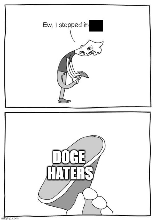 Respect Doge | DOGE
 HATERS | image tagged in ew i stepped in shit meme,memes,why are you reading this | made w/ Imgflip meme maker