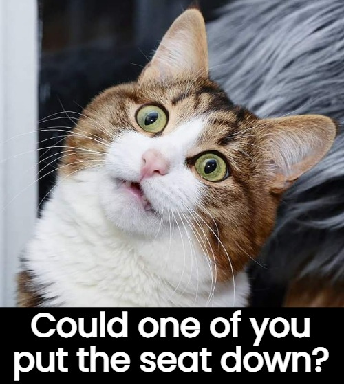 Could one of you
put the seat down? | made w/ Imgflip meme maker