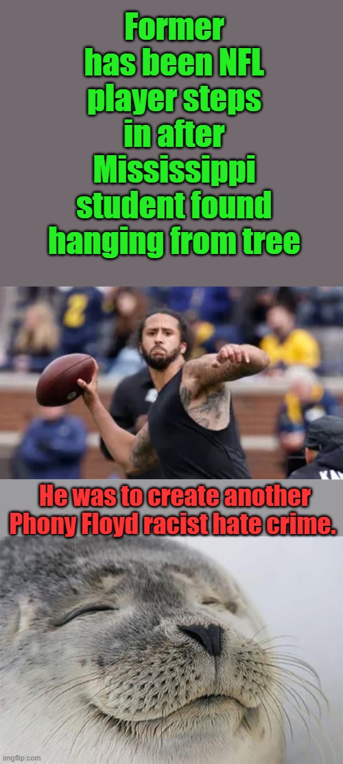 Oh look Cupcake has another assignment, cough up those millions Nike. | Former has been NFL player steps in after Mississippi student found hanging from tree; He was to create another Phony Floyd racist hate crime. | image tagged in memes,satisfied seal | made w/ Imgflip meme maker