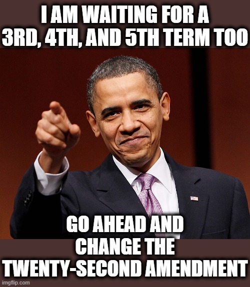 GO AHEAD AND CHANGE THE 22ND AMENDMENT | I AM WAITING FOR A 3RD, 4TH, AND 5TH TERM TOO; GO AHEAD AND CHANGE THE TWENTY-SECOND AMENDMENT | image tagged in 22nd amendment,twenty second amendment,xxii amendment,term limits,constitution,no kings | made w/ Imgflip meme maker