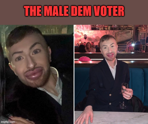Ain't he gorgeous | THE MALE DEM VOTER | made w/ Imgflip meme maker