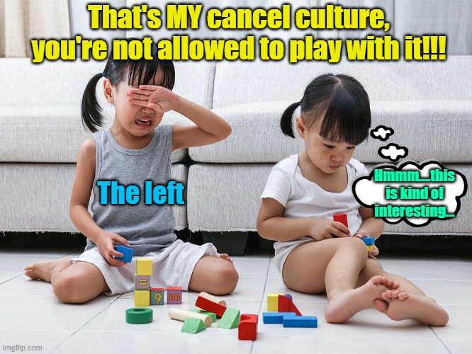 I really wish the left would quit being such whiny snifflers | That's MY cancel culture, you're not allowed to play with it!!! The left; Hmmm....this is kind of interesting... | image tagged in cancel culture,leftists,democrats,whiners | made w/ Imgflip meme maker