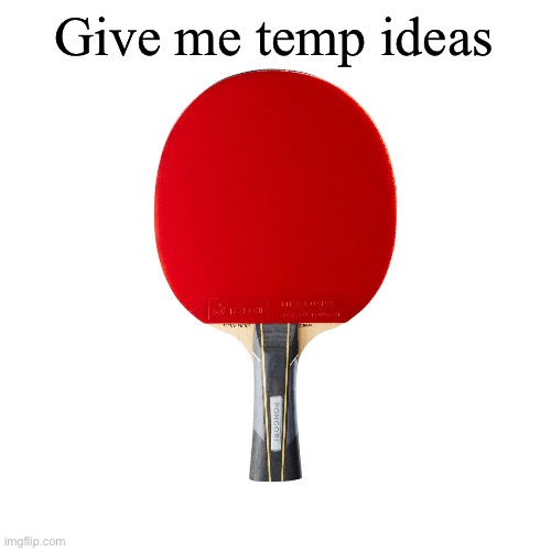 Ping pong | Give me temp ideas | image tagged in ping pong | made w/ Imgflip meme maker