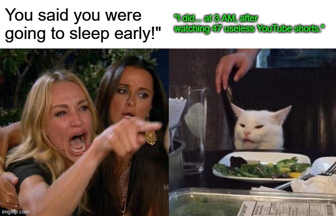 Woman Yelling At Cat | You said you were going to sleep early!"; "I did... at 3 AM, after watching 47 useless YouTube shorts." | image tagged in memes,woman yelling at cat | made w/ Imgflip meme maker
