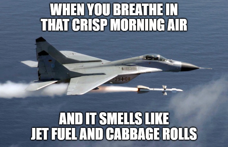 MIG 29 GHOST | WHEN YOU BREATHE IN THAT CRISP MORNING AIR; AND IT SMELLS LIKE JET FUEL AND CABBAGE ROLLS | image tagged in mig 29 ghost,slavic lives matter,slavic air | made w/ Imgflip meme maker
