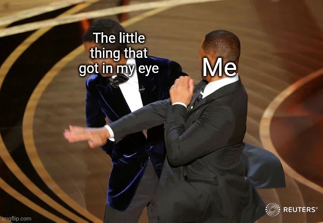 Really. REALLY ANNOYING. | The little thing that got in my eye; Me | image tagged in will smith punching chris rock,eyes,memes,funny,relatable | made w/ Imgflip meme maker