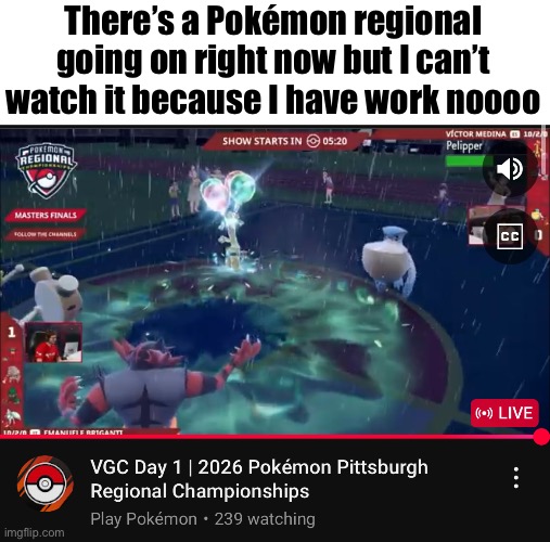 There’s a Pokémon regional going on right now but I can’t watch it because I have work noooo | made w/ Imgflip meme maker