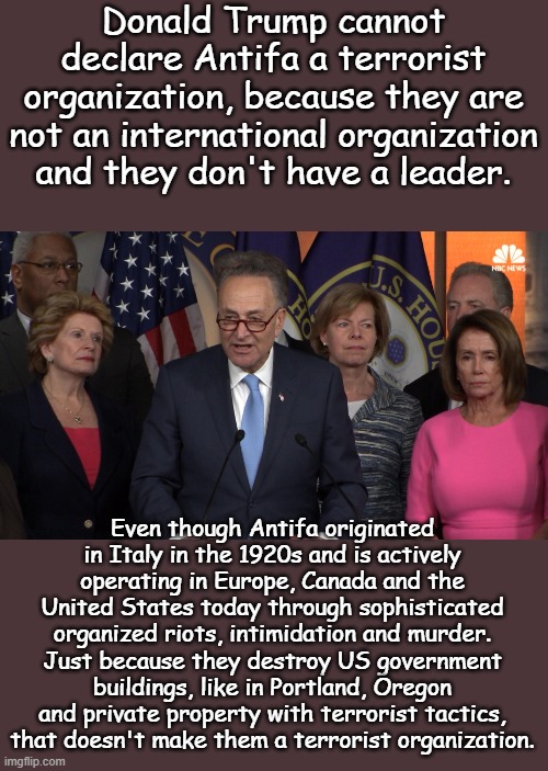 The only free speech is leftist. If you know what is good for you, you WILL support Antifa. | Donald Trump cannot declare Antifa a terrorist organization, because they are not an international organization and they don't have a leader. Even though Antifa originated in Italy in the 1920s and is actively operating in Europe, Canada and the United States today through sophisticated organized riots, intimidation and murder. Just because they destroy US government buildings, like in Portland, Oregon and private property with terrorist tactics, that doesn't make them a terrorist organization. | image tagged in democrat congressmen | made w/ Imgflip meme maker