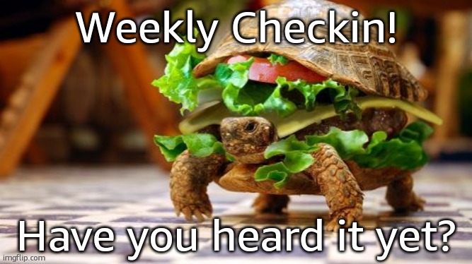 Tortoise Samwich | Weekly Checkin! Have you heard it yet? | image tagged in tortoise samwich | made w/ Imgflip meme maker