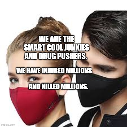 Mask Couple | WE ARE THE SMART COOL JUNKIES AND DRUG PUSHERS. WE HAVE INJURED MILLIONS                                AND KILLED MILLIONS. | image tagged in mask couple | made w/ Imgflip meme maker