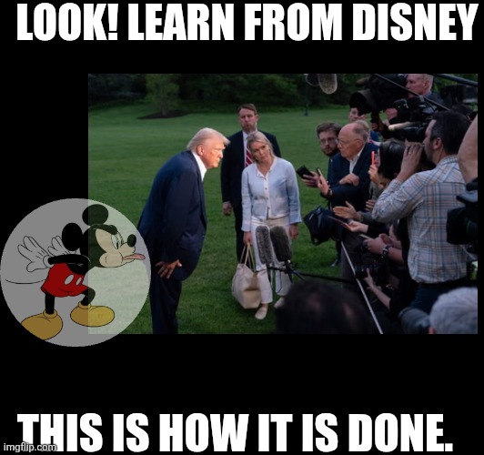 LOOK! LEARN FROM DISNEY; THIS IS HOW IT IS DONE. | made w/ Imgflip meme maker