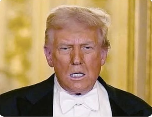 Trump Blank Meme Template