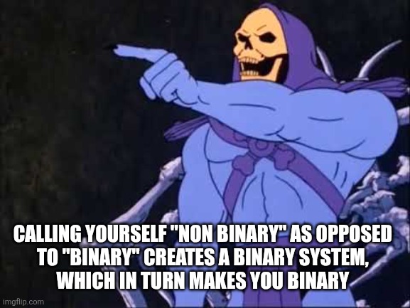 Skeletor | CALLING YOURSELF "NON BINARY" AS OPPOSED 
TO "BINARY" CREATES A BINARY SYSTEM, 
WHICH IN TURN MAKES YOU BINARY | image tagged in skeletor,funny memes | made w/ Imgflip meme maker