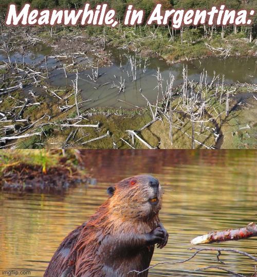 Meanwhile, in Argentina: | made w/ Imgflip meme maker