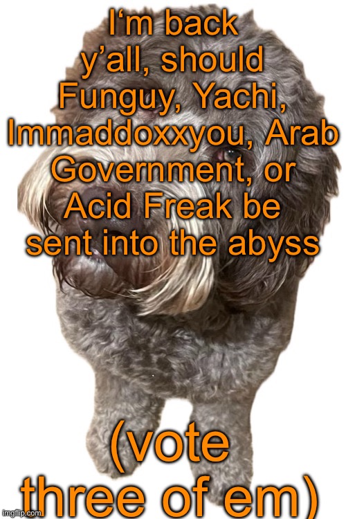 Norther's dog | I‘m back y’all, should Funguy, Yachi, Immaddoxxyou, Arab Government, or Acid Freak be sent into the abyss; (vote three of em) | image tagged in voting game s12 | made w/ Imgflip meme maker