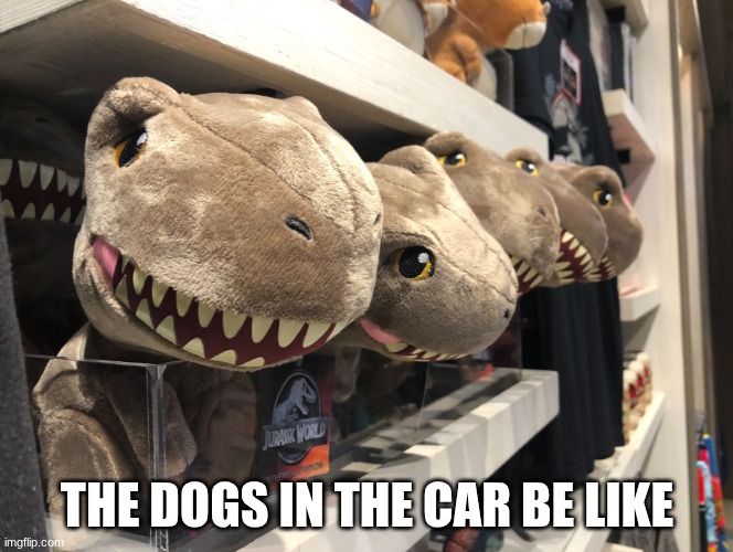 The Dogs In The Car | THE DOGS IN THE CAR BE LIKE | image tagged in the dogs in the car,dog,memes | made w/ Imgflip meme maker