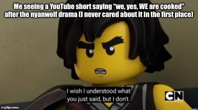 I only know about the meme cause it got a forsaken skin | Me seeing a YouTube short saying “we, yes, WE are cooked” after the nyanwolf drama (I never cared about it in the first place) | image tagged in i wish i understood what you just said but i don t | made w/ Imgflip meme maker