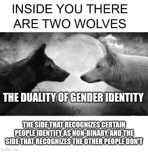 Inside you there are two wolves | THE DUALITY OF GENDER IDENTITY THE SIDE THAT RECOGNIZES CERTAIN PEOPLE IDENTIFY AS NON-BINARY, AND THE SIDE THAT RECOGNIZES THE OTHER PEOPLE | image tagged in inside you there are two wolves | made w/ Imgflip meme maker