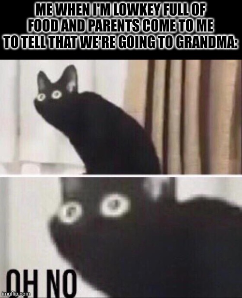 Chat, Am I gonna survive at grandmother's hause? | ME WHEN I'M LOWKEY FULL OF FOOD AND PARENTS COME TO ME TO TELL THAT WE'RE GOING TO GRANDMA: | image tagged in oh no cat | made w/ Imgflip meme maker