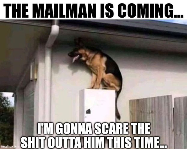 The Mailman Is Coming... I'm Gonna Scare The Shit Outta Him This Time... | THE MAILMAN IS COMING... I'M GONNA SCARE THE SHIT OUTTA HIM THIS TIME... | image tagged in chris joines | made w/ Imgflip meme maker