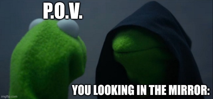 stupid mirrors. ): | P.O.V. YOU LOOKING IN THE MIRROR: | image tagged in memes,evil kermit | made w/ Imgflip meme maker