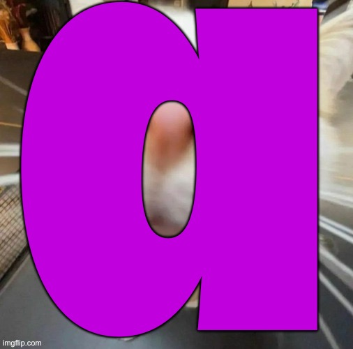 a | a | image tagged in a | made w/ Imgflip meme maker