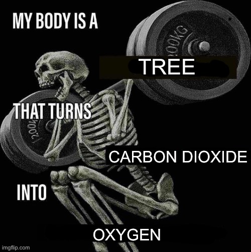 My body is a X that turns Y into Z | TREE; CARBON DIOXIDE; OXYGEN | image tagged in my body is a x that turns y into z | made w/ Imgflip meme maker